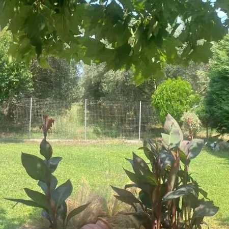 Paralia Ofriniou Beautiful House